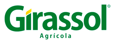 Girassol